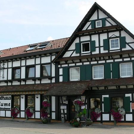 Hotel Landgasthof Blume Lichtenau  Exterior photo